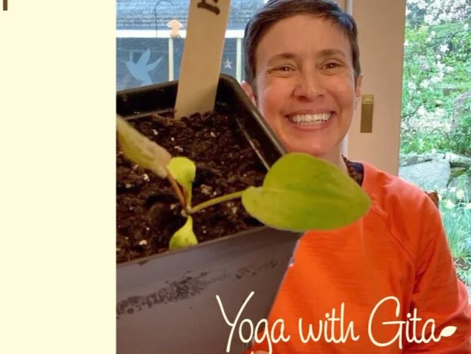 Break out of your rut with ease!