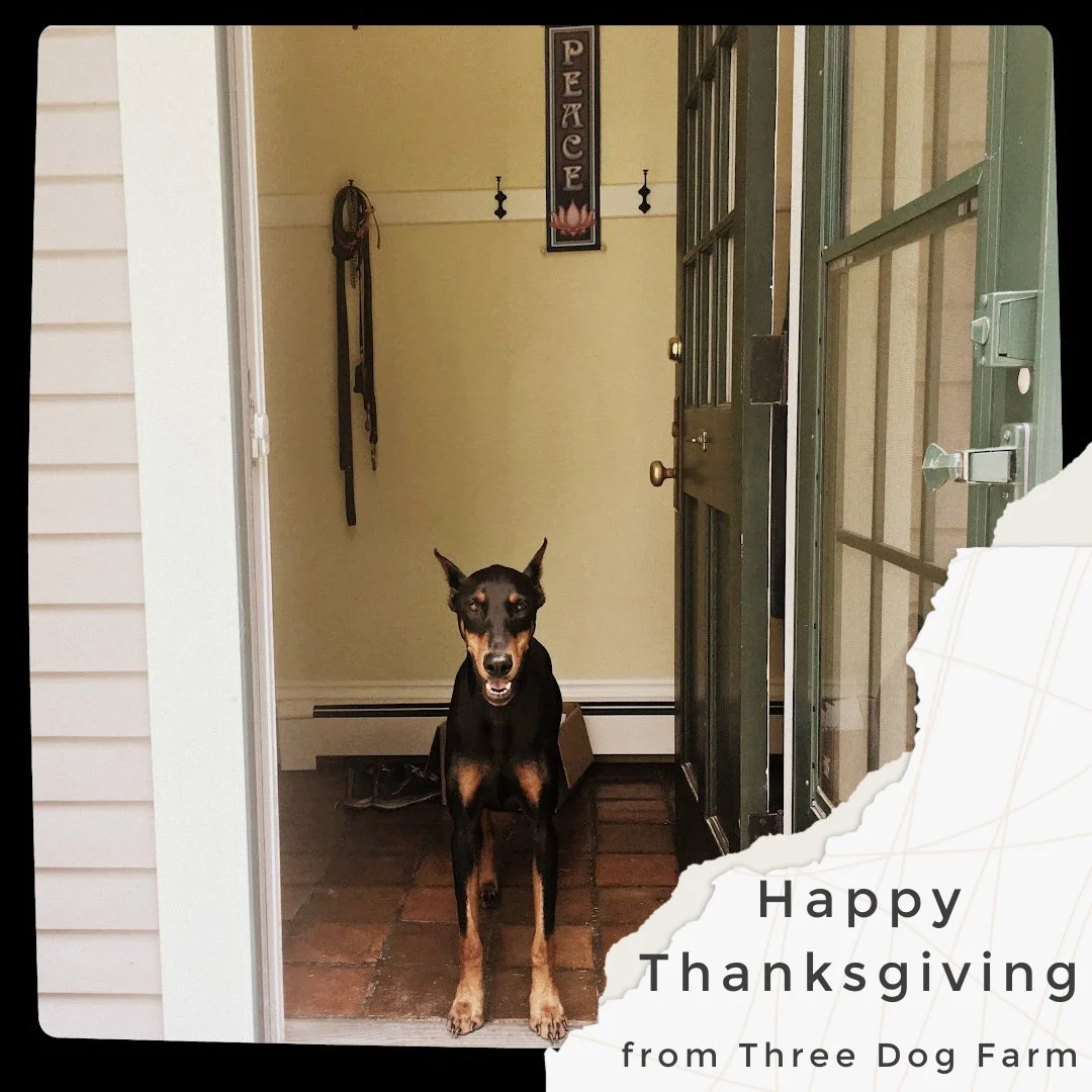 Blessed Day of Thanksgiving and Mourning