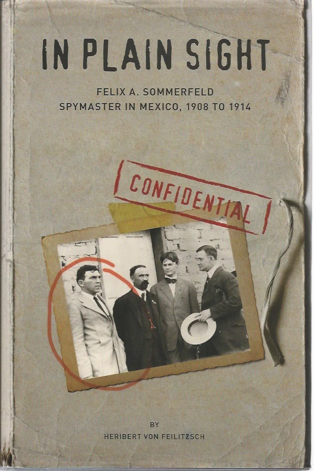 In Plain Sight - Paperback