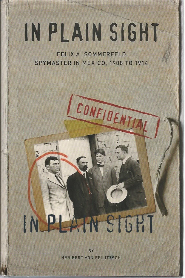 In Plain Sight - E-book