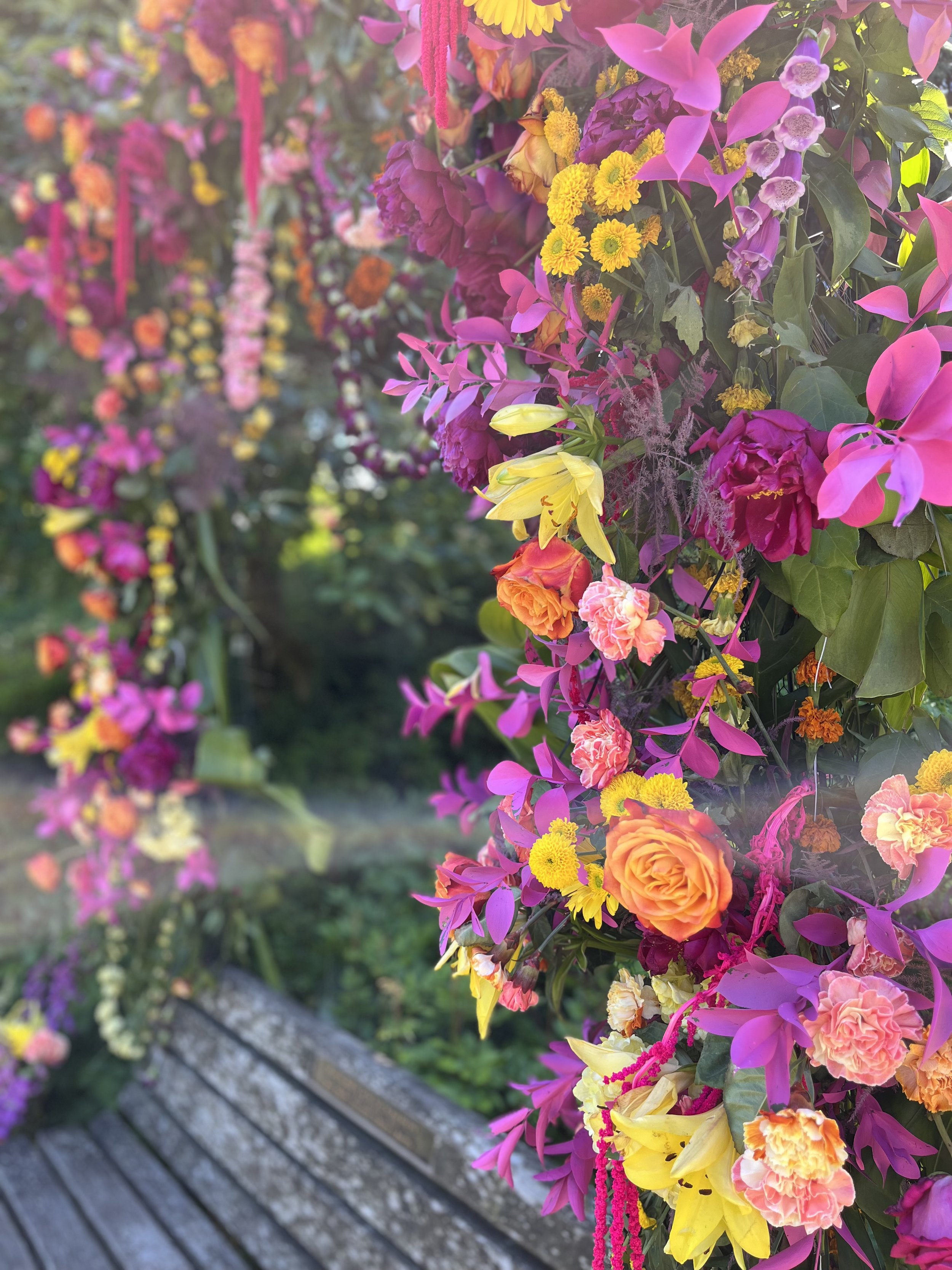 IMG_9765.jpeg