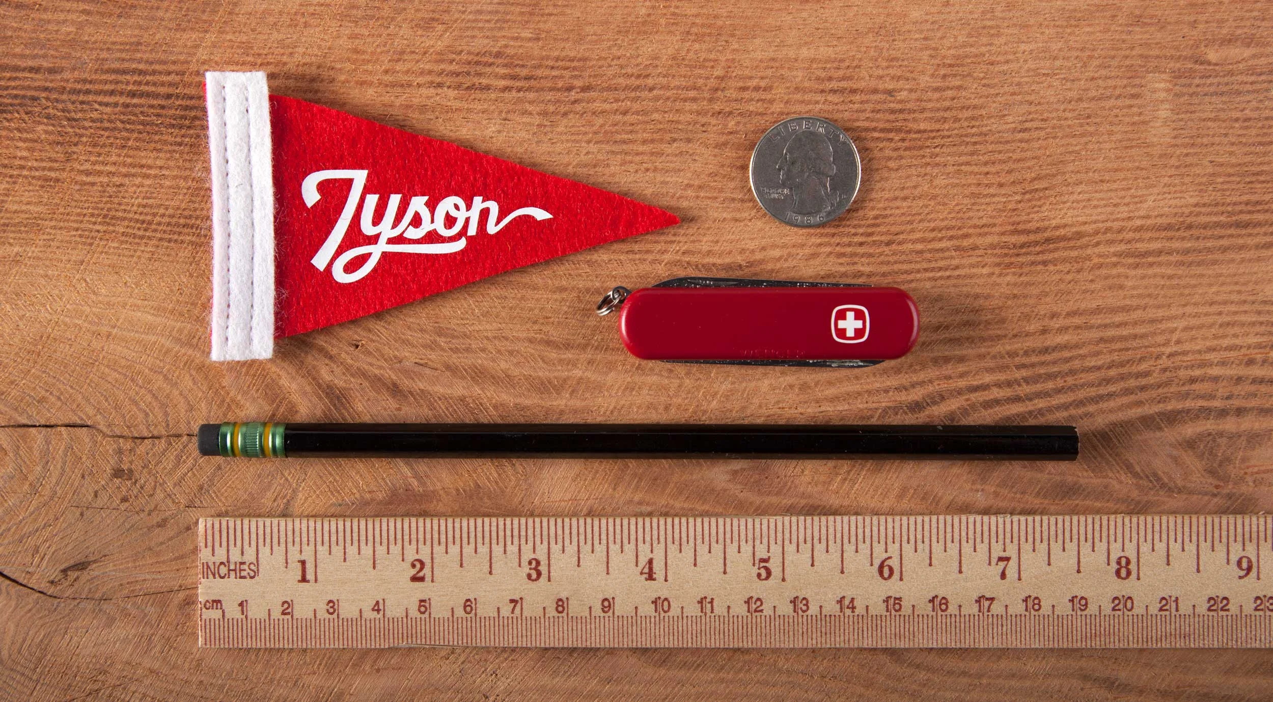 Tyson_pennant_scale.jpg