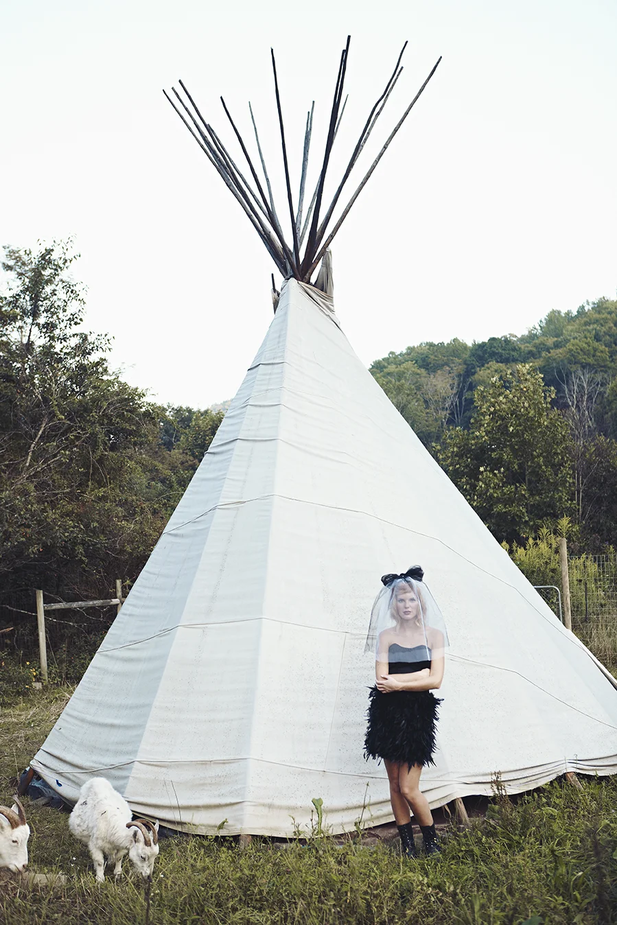into_the_wild_1363.jpg