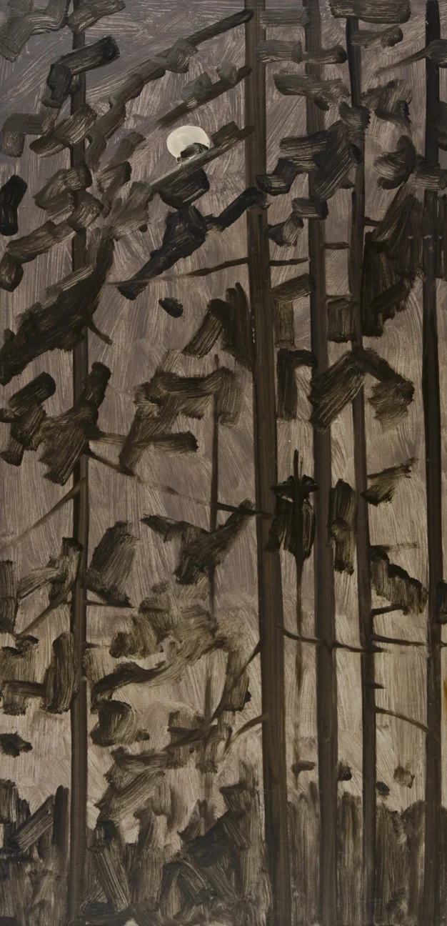 LD77_32_moonlightinwoods_medium.jpg