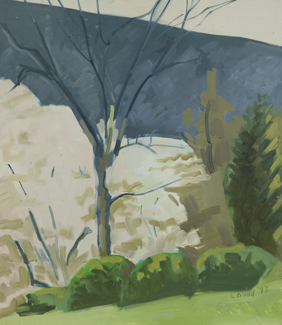 LD189_whiteblossomsinwoods_medium.jpg