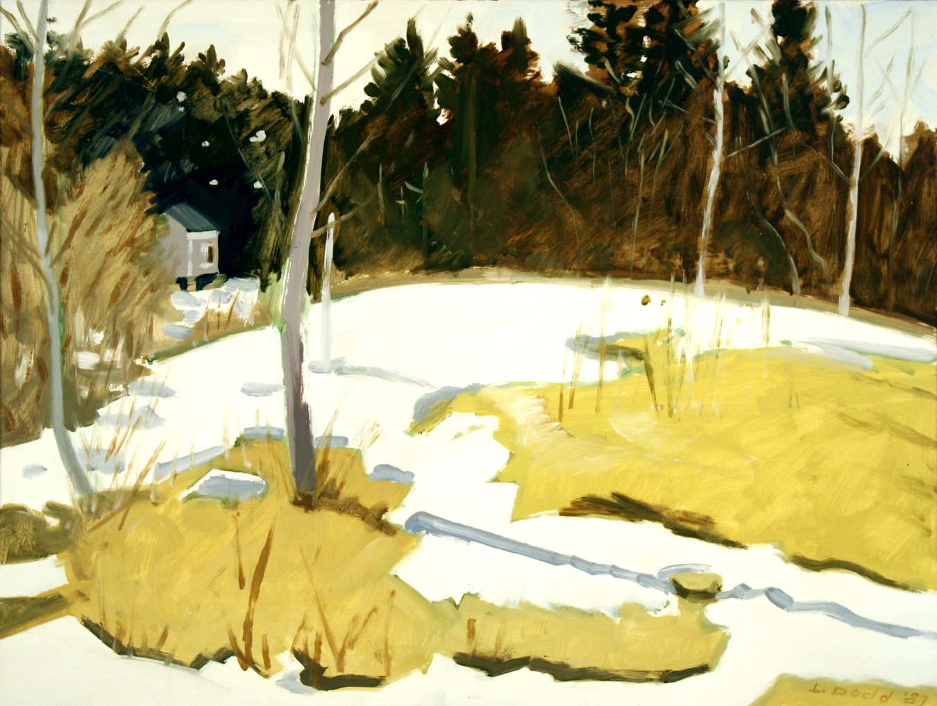 LD447_SnowPatches.jpg