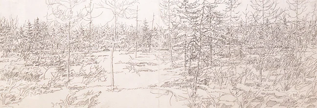 NW31_LittleMarshLithographStudy_1988-low.jpg