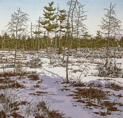 NW397LITTLEMARSH_low.jpg