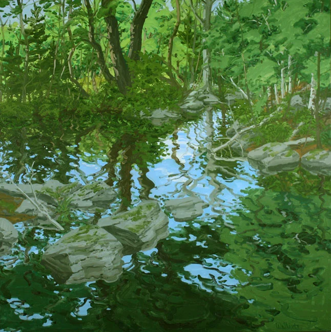 NW917MaineWoodland_low.jpg