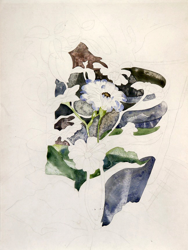 CD_Zinnias1_low.jpg