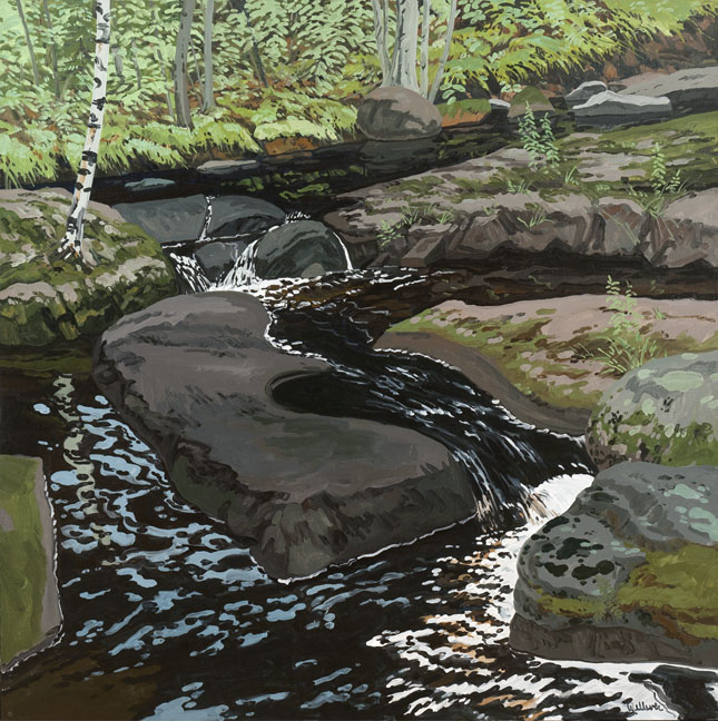 NW922BlackBrookDampDay_PhotoDJamesDee_low.jpg