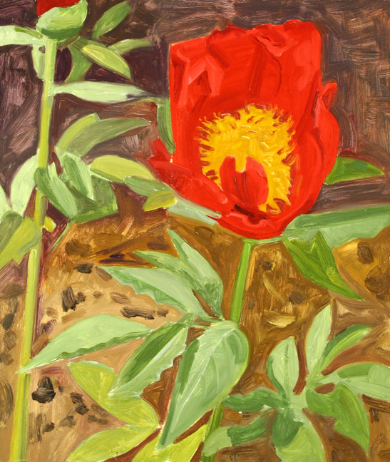 LD07_04RedPeony_low.jpg