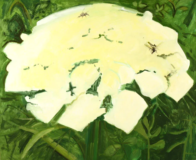 LD10_04WhiteFlowerQueenAnnesLace_low.jpg