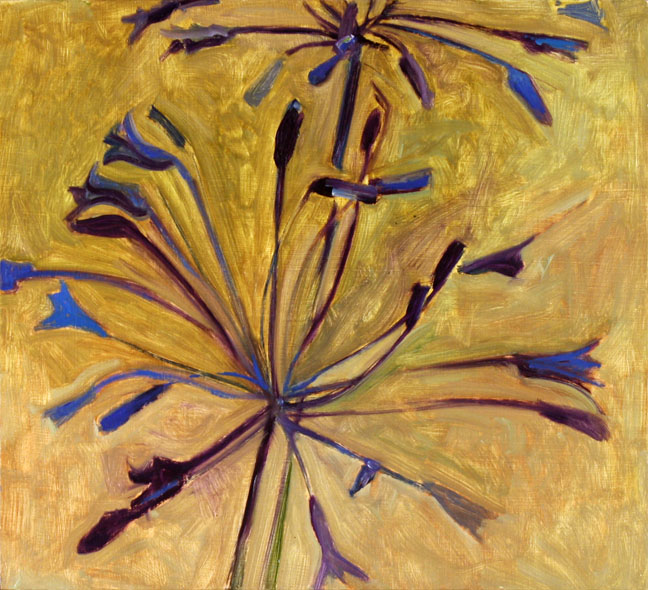 LD10_10Agapanthus_low.jpg