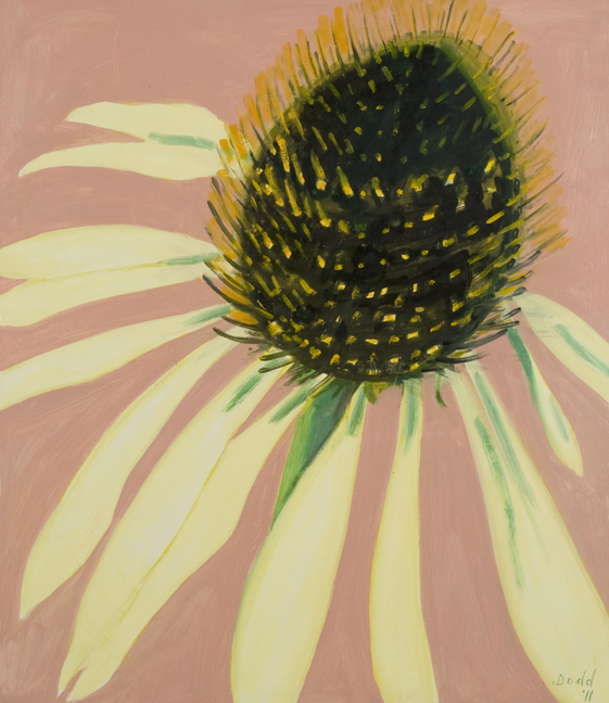 LD11_05_echinacea_low.jpg
