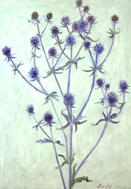 LD11_08SeaHolly_low.jpg
