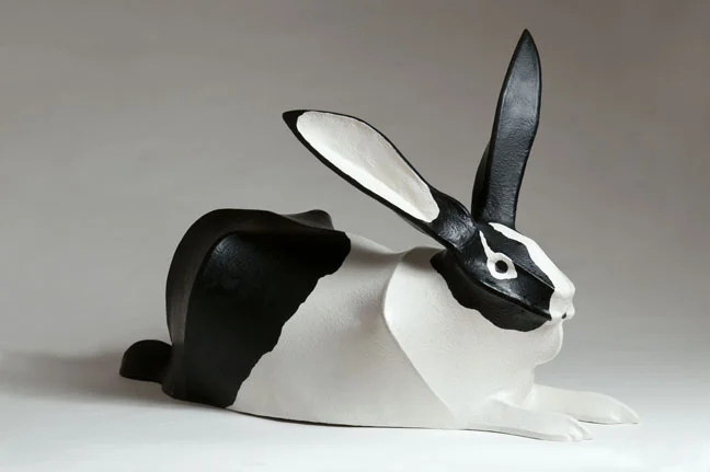 Black and White Rabbit