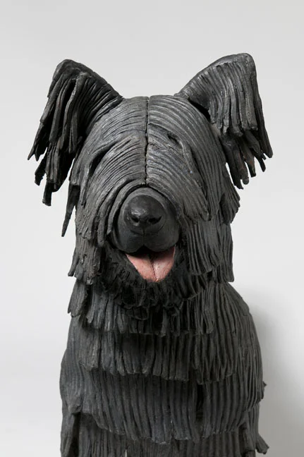 Sunny (Skye Terrier)
