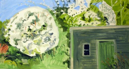 Apple Blossoms & Chicken House