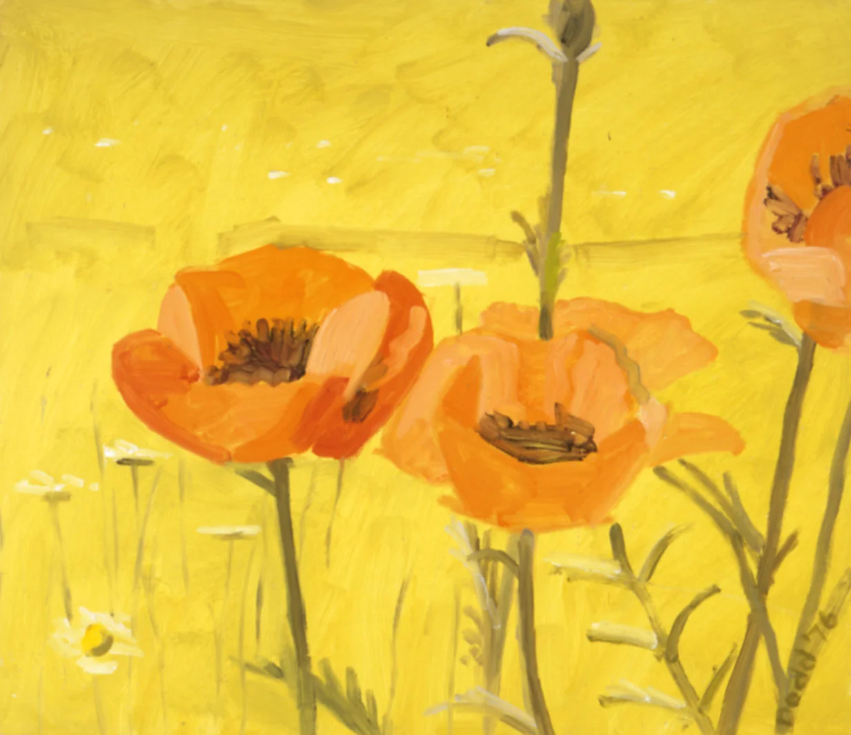 Orange Poppies