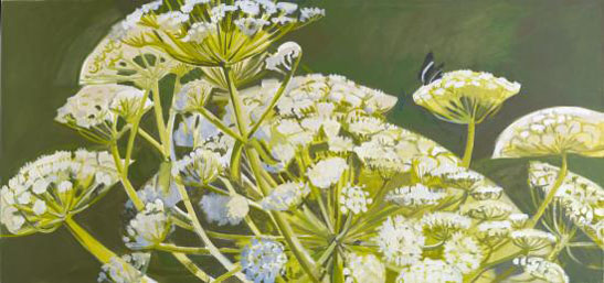 Cow Parsnip