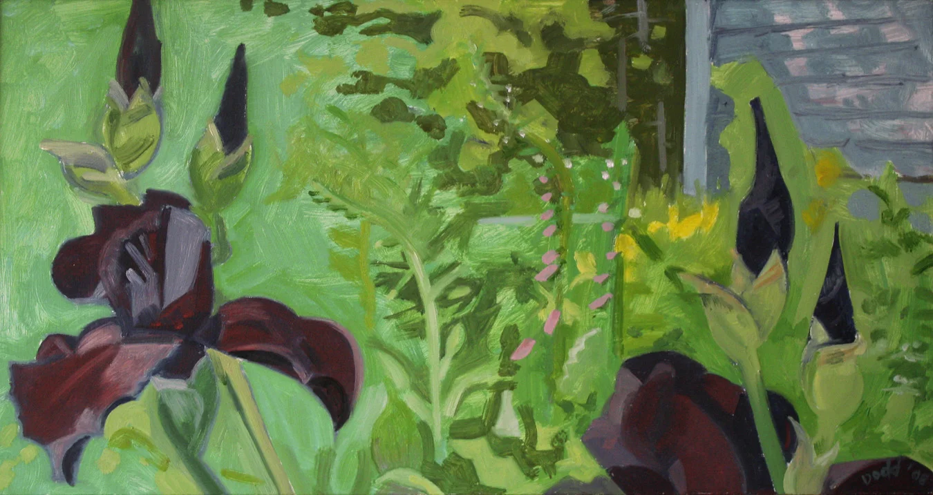 Black Iris in June