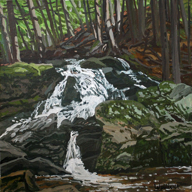 Study for Falls - Jam Brook