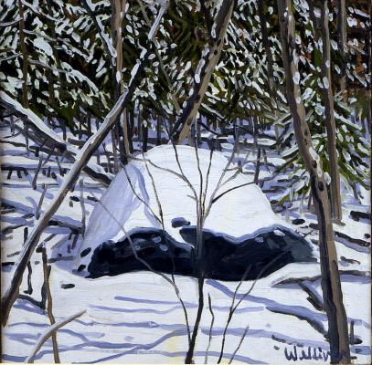 Study for Erratic and Snow