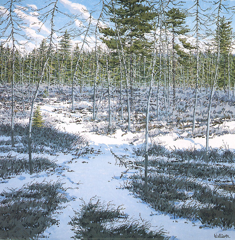 Little Marsh -- Last Snow