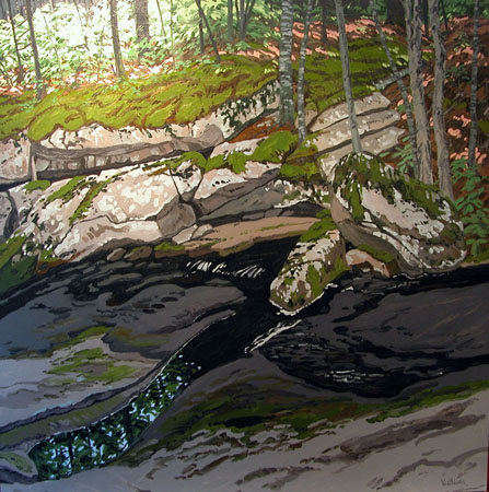 Ledge on Black Brook