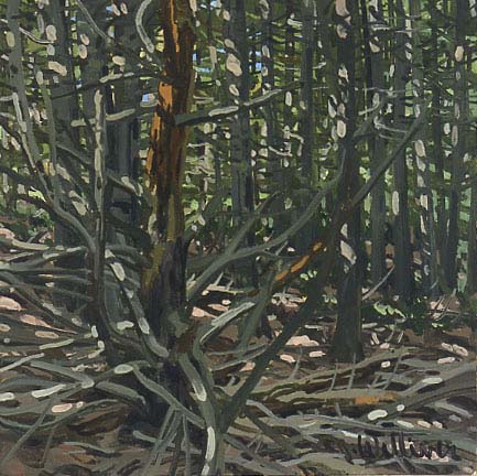 Study for Dead Pine