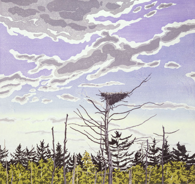 Osprey Nest