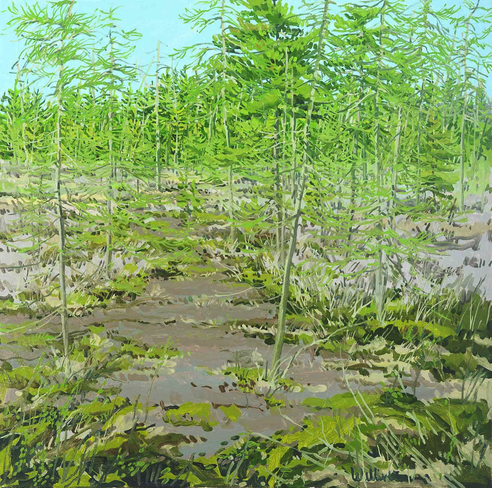 Study for Little Marsh Spring