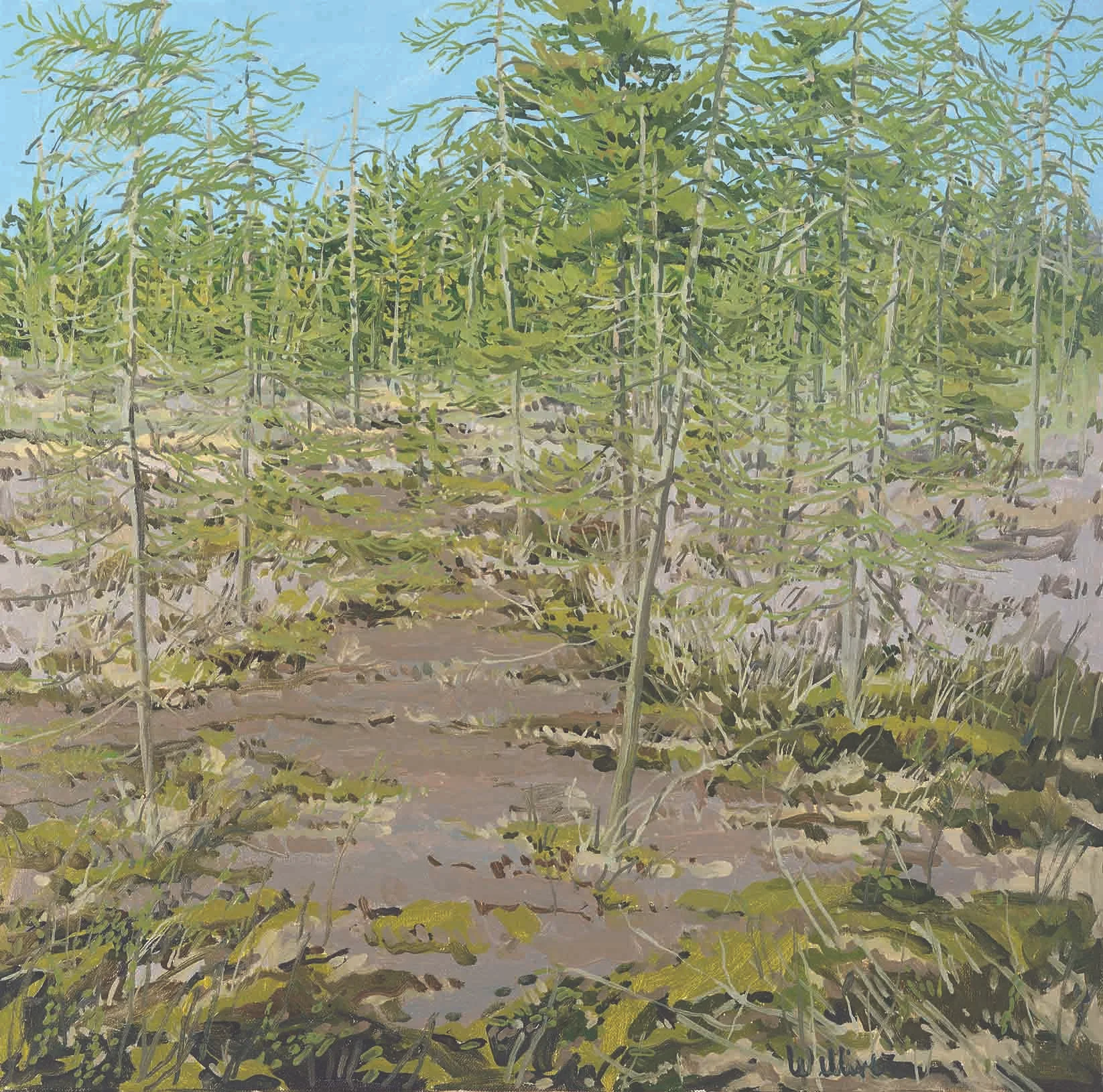 Study for Little Marsh Spring