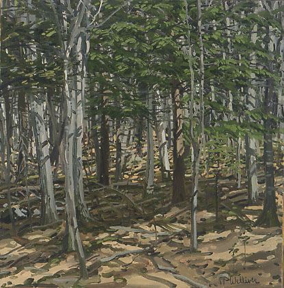 Study for Summer Shadow