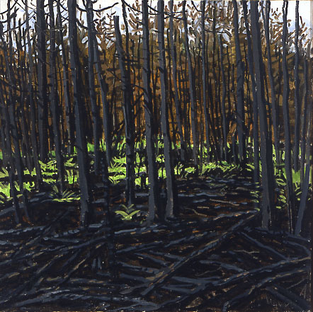 Study for Fire's Edge and Singed Firs
