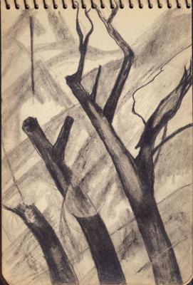 Untitled (Trees)