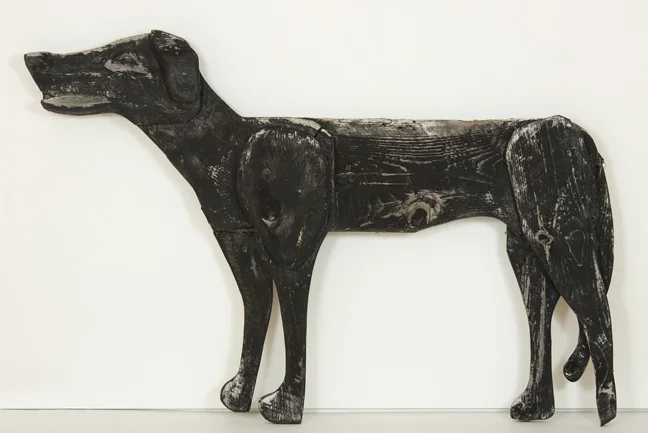 Black Dog (Cinderella)
