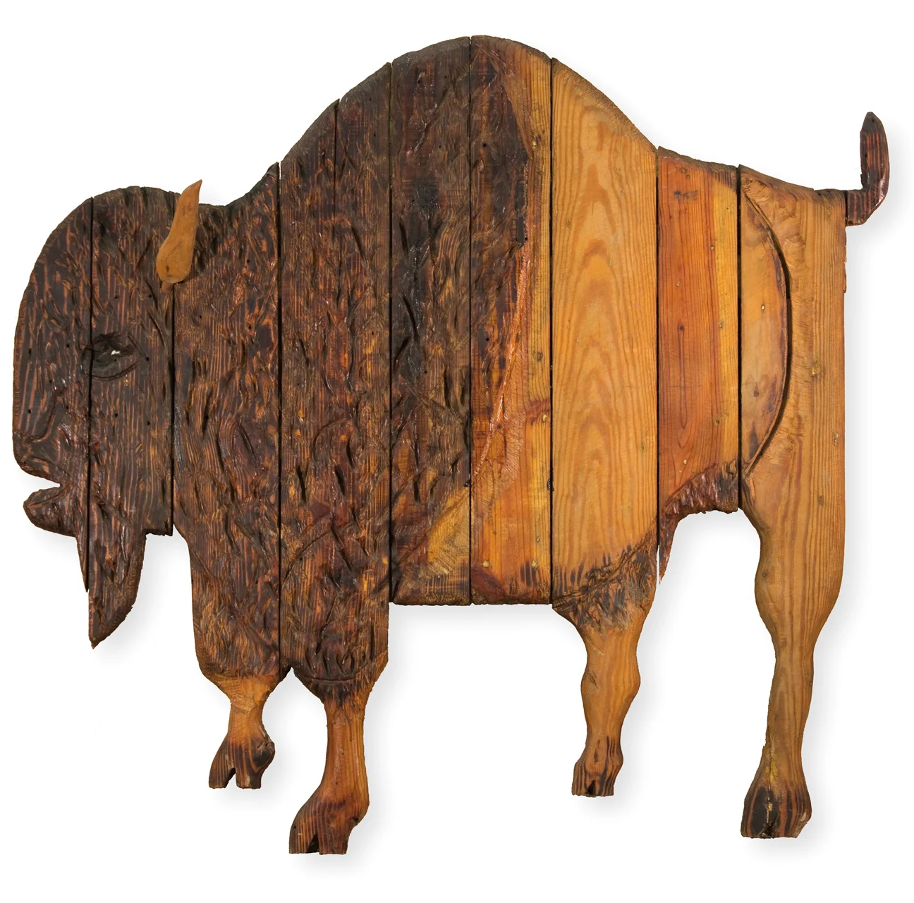 Bison