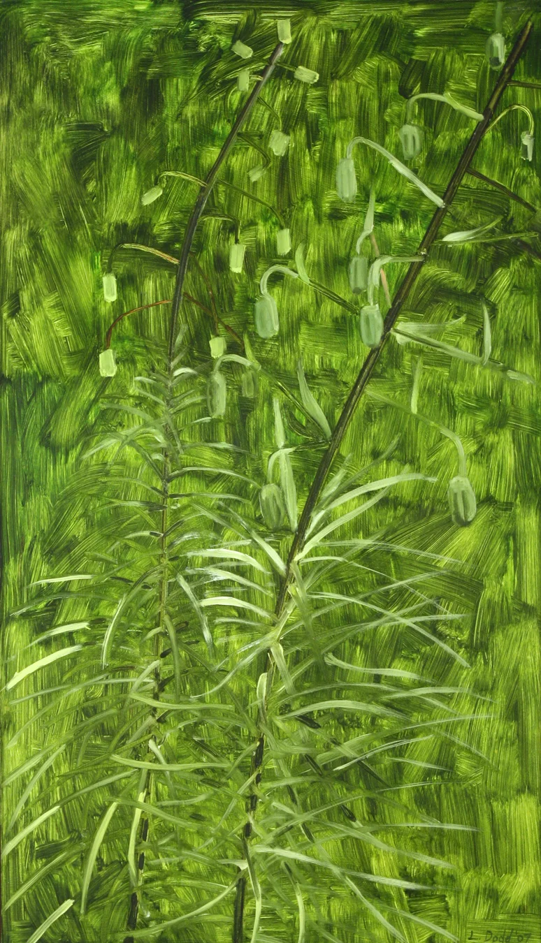 LD07_20_LilyBuds.jpg