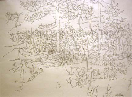 big_NW65-untitled1988.jpg
