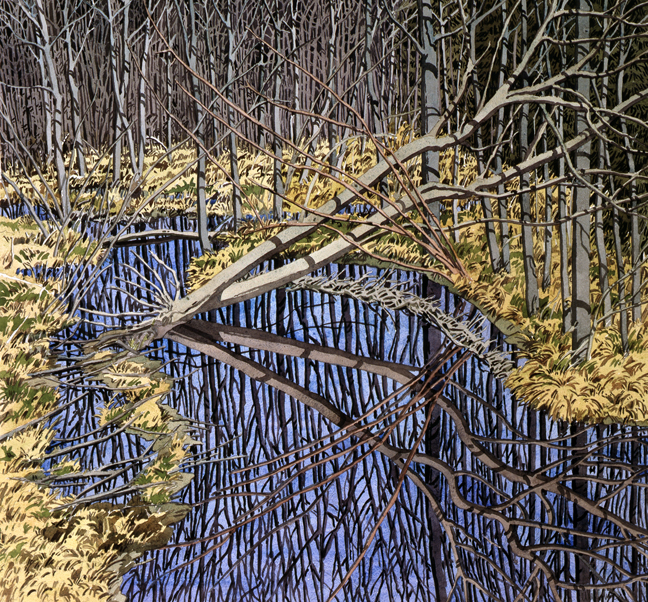 NW_SkyInCorasMarsh_version2_low.jpg
