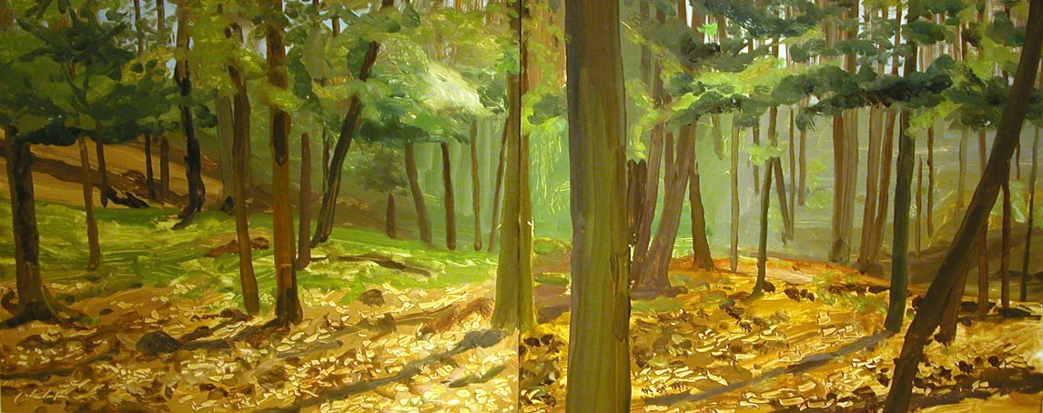 SunlightandWoods.jpg