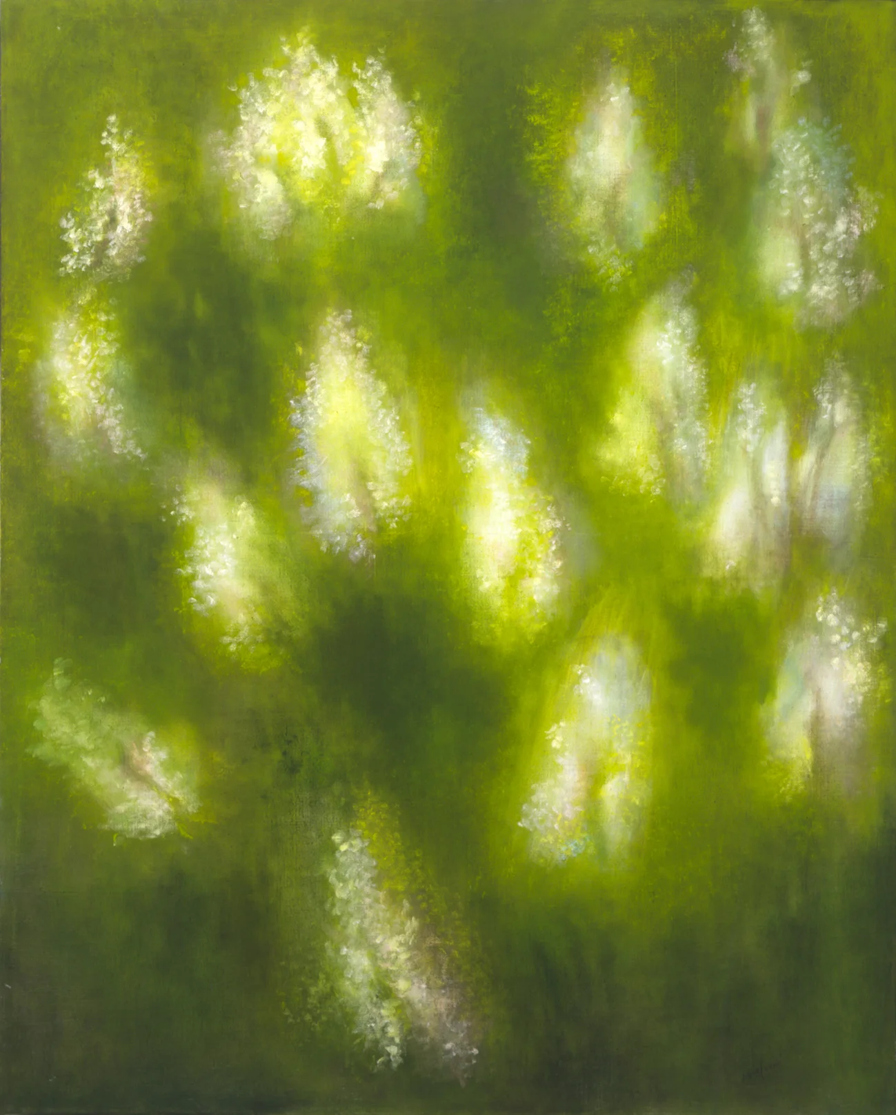 LM268_Fleurs_de_marronniers_high.jpg