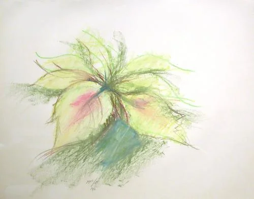 big_LM545_Coleus.jpg