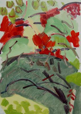 big_LD473_Virginia_Creeper.jpg