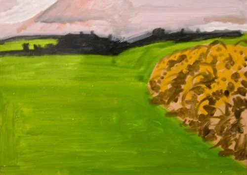 big_LD507_FieldGorse.jpg