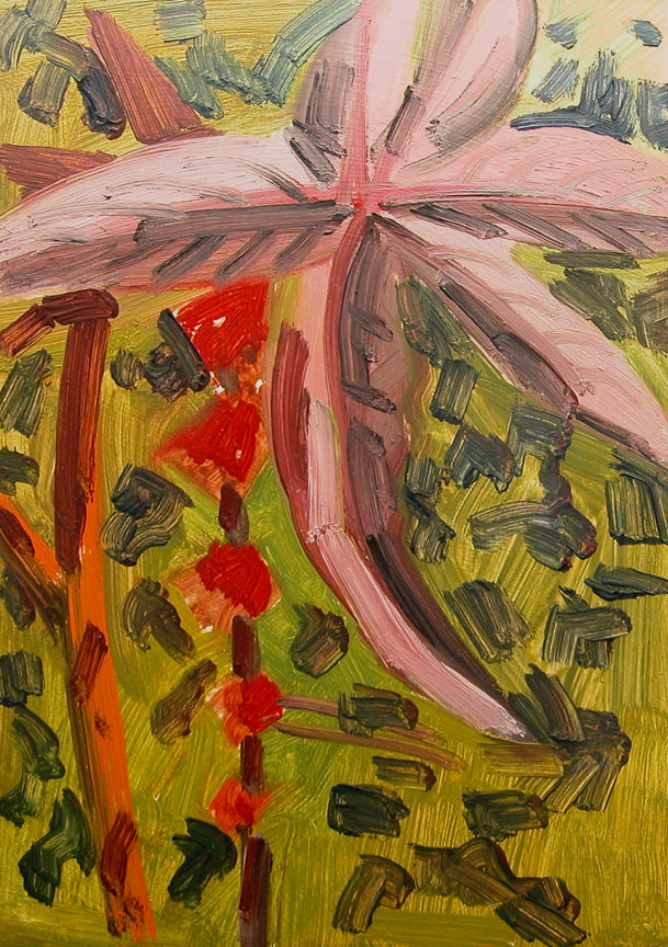 LD471_CastorLeaf_Flower.jpg