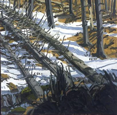 big_NW188stufallenfirs.jpg