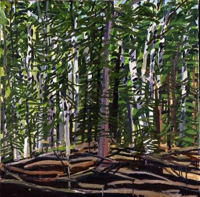 big_NW455SFDENSEFOREST.jpg